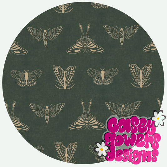 MINIMALIST MOTH SEAMLESS 5pk